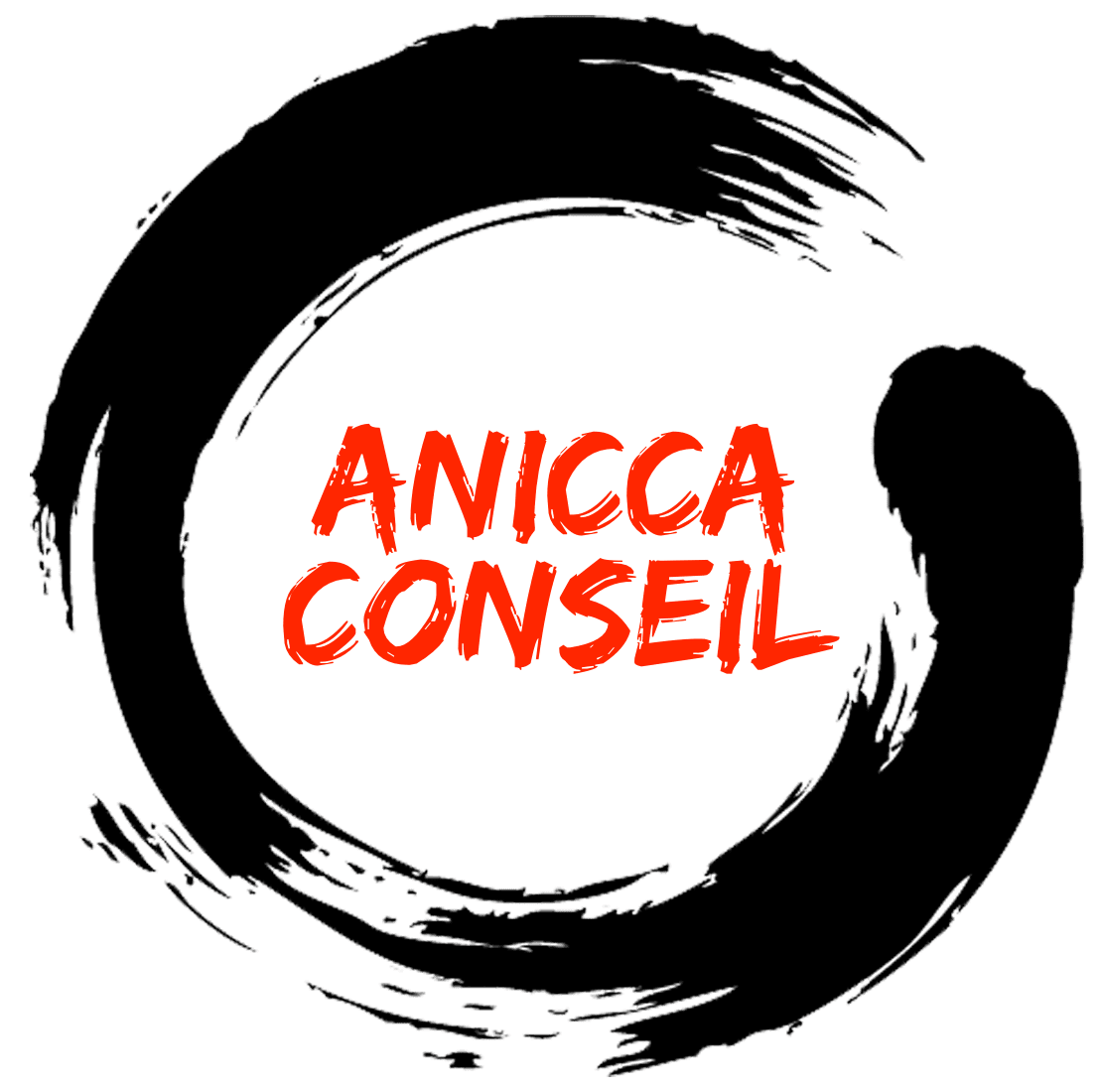 Anicca Conseil