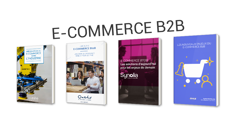 L'e-commerce B2B en théorie et en pratique