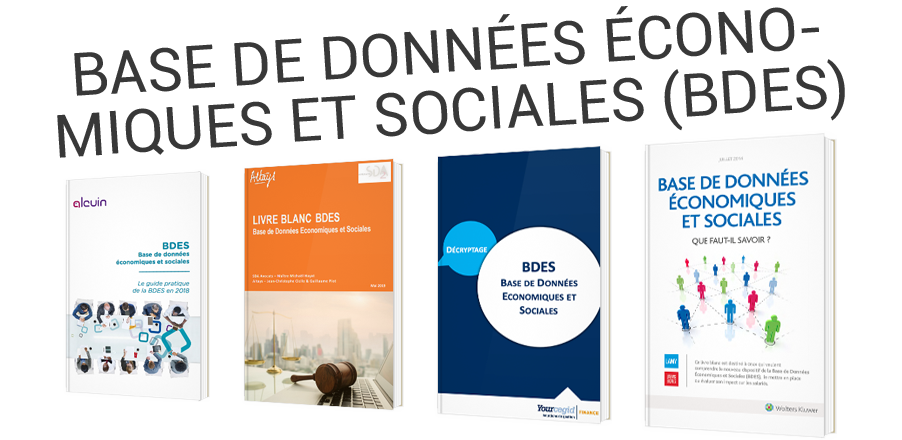 Tout comprendre de la base de données économiques et sociales (BDES)