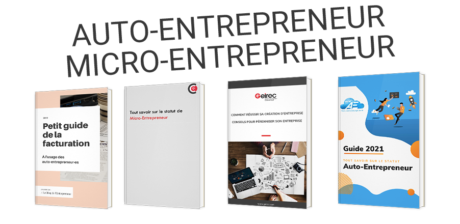Auto-entrepreneur / micro-entrepreneur