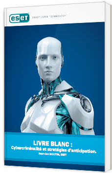Cybercriminalité et stratégies d'anticipation