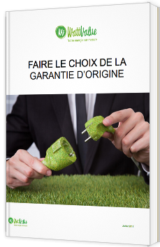 Faire le choix de la garantie d'origine