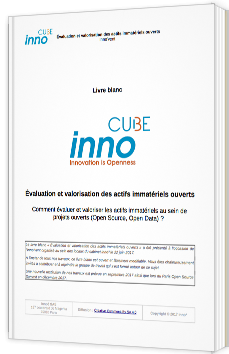 Évaluation et valorisation des actifs immatériels ouverts