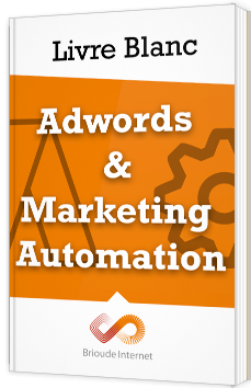 Opération spéciale Noël - Adwords & Marketing Automation