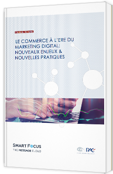 Le commerce à l'ère du marketing digital : nouveaux enjeux et nouvelles pratiques