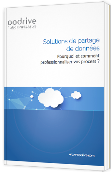 Solutions de partage de données - Pourquoi et comment professionnaliser vos process ?