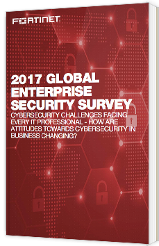 2017 Global enterprise security survey