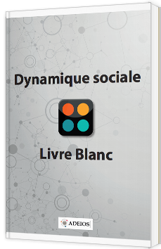 Dynamique sociale - Livre blanc