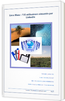 735 utilisateurs aimantés par LinkedIn