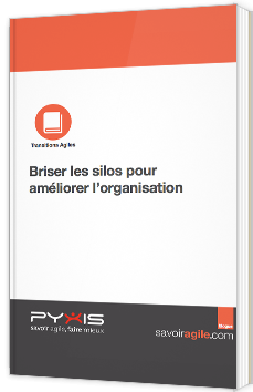 Briser les silos pour améliorer l'organisation