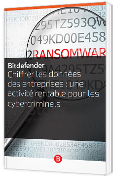 Chiffrer les données des entreprises : une activité rentable pour les cybercriminels