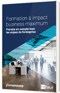 Formation à impact business maximum : Prendre en compte tous les enjeux de l'entreprise