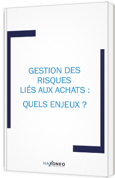 Gestion des risques liés aux achats : Quels enjeux ?