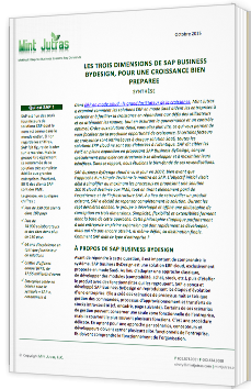 Le trois dimensions de Sap Business Bydesign, pour une croissance bien préparée