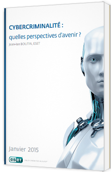 Cybercriminalité : quelles perspectives d’avenir ?