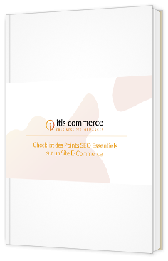 itis-commerce-seo-ecommerce