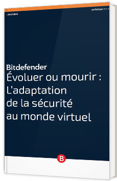 Évoluer ou mourir : L’adaptation de la sécurité au monde virtuel