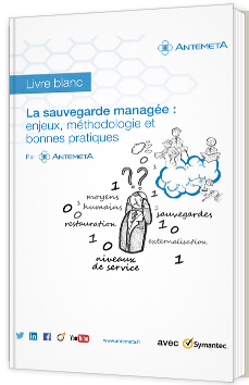 La sauvegarde managée : enjeux, méthodologie et bonnes pratiques