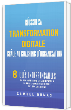 Réussir sa transformation digitale grâce au coaching d’organisation