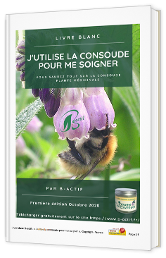 J'utilise la consoude pour me soigner