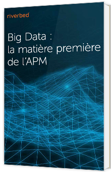Big Data : la matière première de l’APM