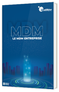 Modèle de cahier des charges - Master Data Management
