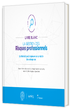 Livre blanc - La gestion des risques professionnels - Ayming