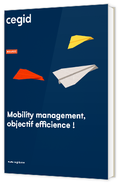 Livre blanc - Mobility management, objectif efficience ! - Cegid