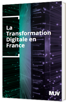 La Transformation Digitale en France