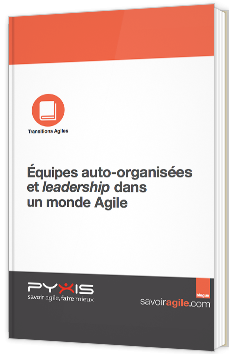 Équipes auto-organisées et leadership dans un monde Agile