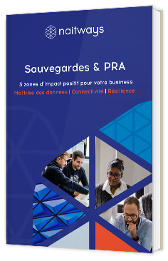 Livre blanc - Sauvegardes & PRA - Naitways