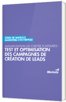 Augmentation du chiffre d'affaires : test et optimisation des campagnes de création de leads