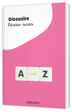 Livre blanc - "Glossaire Réseaux sociaux" - Digitaleo