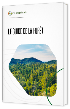 Livre blanc - "Le guide de la forêt" - ma-propriete.fr