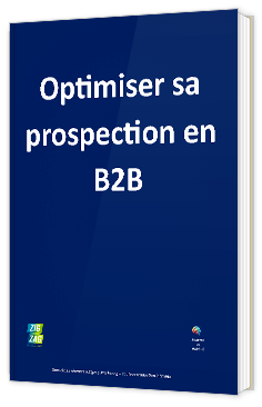 Livre blanc - "Optimiser sa prospection en B2B" - Zigzag Marketing