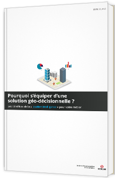 Pourquoi s’équiper d’une solution géo-décisionnelle ?