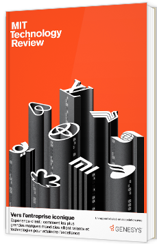 Vers l’entreprise iconique