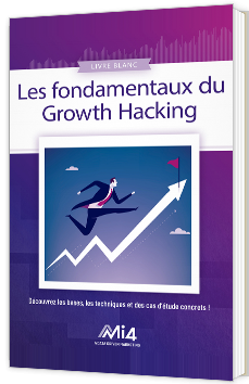 La fondamentaux du Growth Hacking