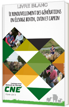Le renouvellement des générations en élevage bovin, ovin et caprin