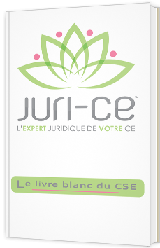 Le Livre Blanc du CSE