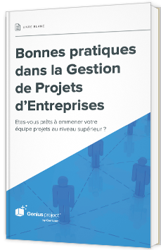 Bonnes pratiques dans la gestion de projets d'entreprises