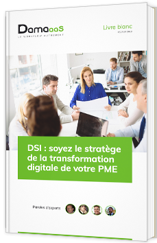 DSI : soyez le stratège de la transformation digitale de votre PME