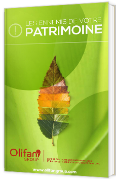 Les ennemis de votre patrimoine