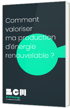 Comment valoriser ma production d’énergie renouvelable ?