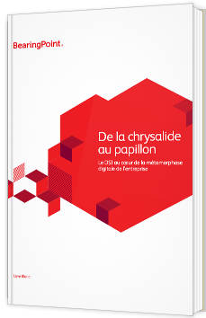 De la chrysalide au papillon