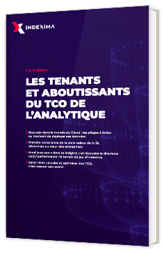 Les tenants et les aboutissants du TCO de l'analytique
