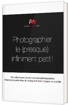 Photographier le (presque) infiniment petit !