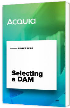 Selecting a DAM