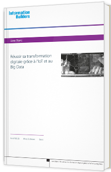 Réussir sa transformation digitale grâce à l’IoT et au Big Data