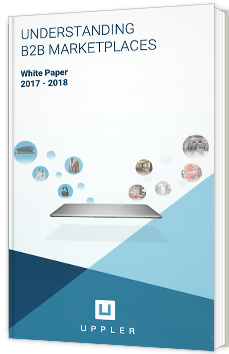 Understanding B2B marketplaces